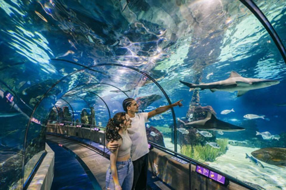 Barcelona Aquarium Skip the Line Entrance Ticket
