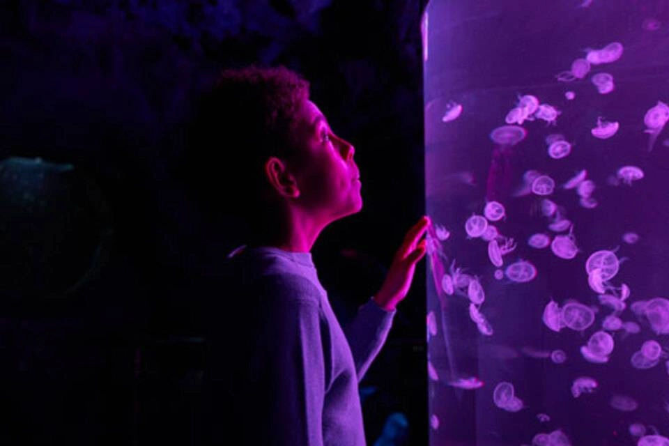 Barcelona Aquarium