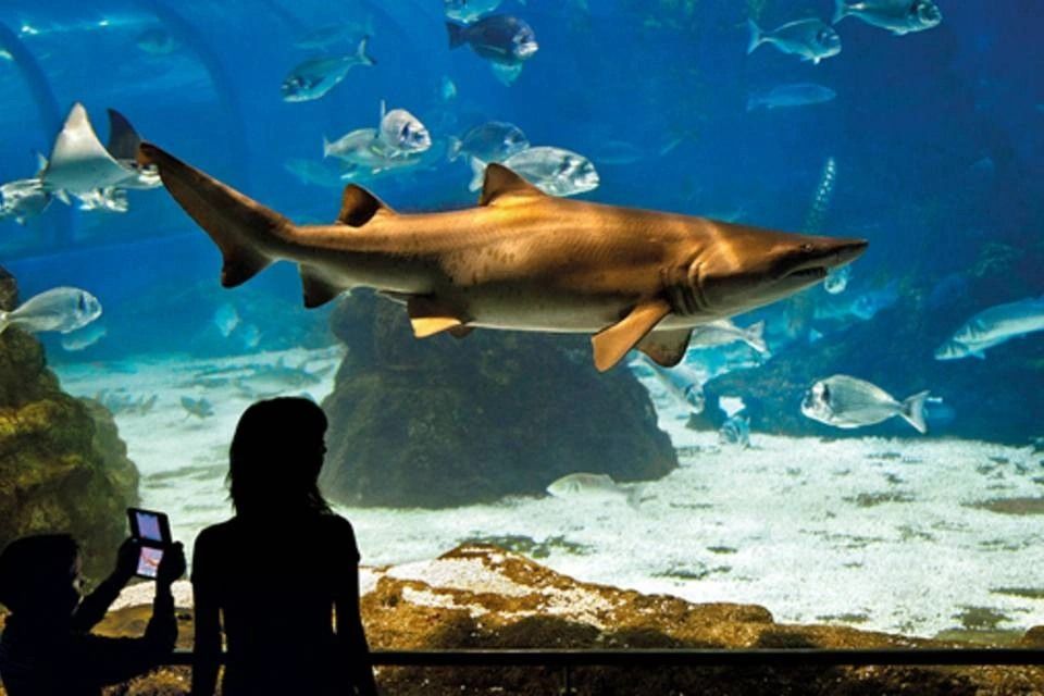 Barcelona Aquarium