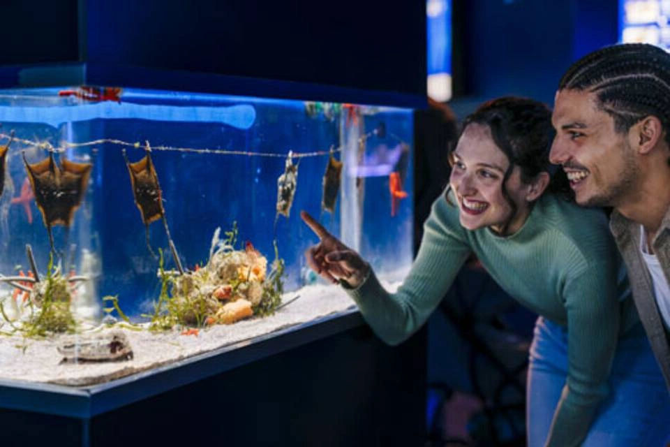 Barcelona Aquarium