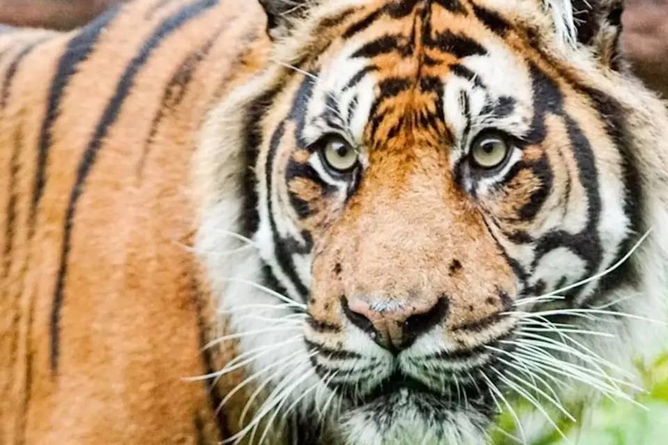 London Zoo