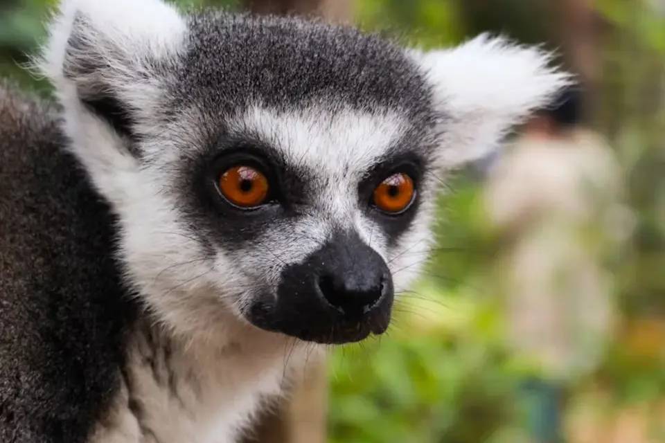 London Zoo