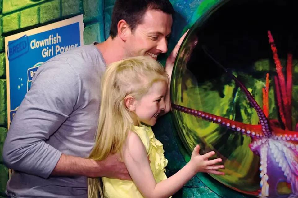 SEA LIFE London Entrance Ticket