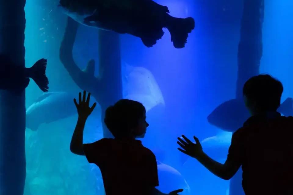 SEA LIFE London