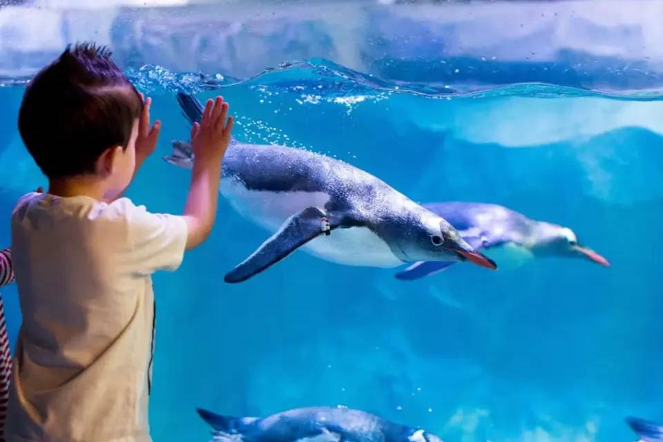 SEA LIFE London