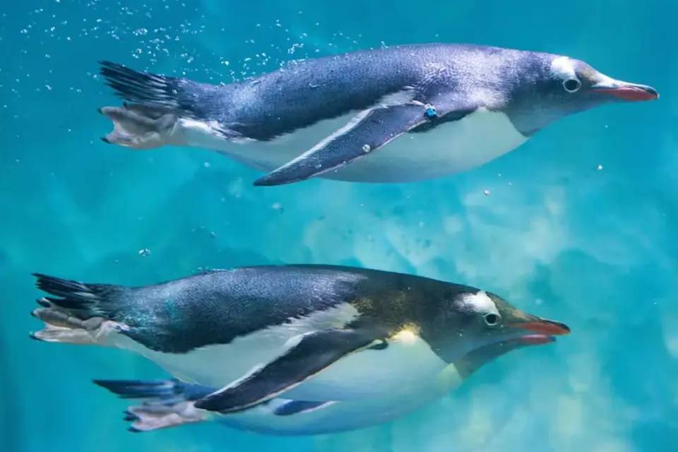 SEA LIFE London
