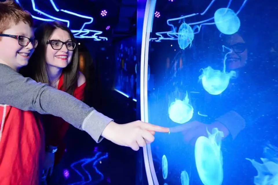 SEA LIFE London