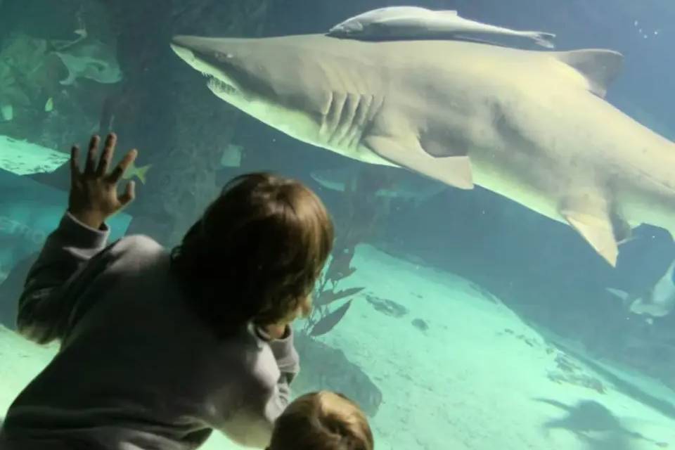 Zoo Aquarium Madrid