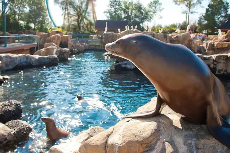 SeaWorld Orlando