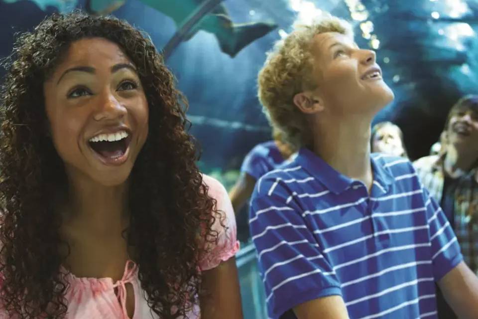 SeaWorld Orlando