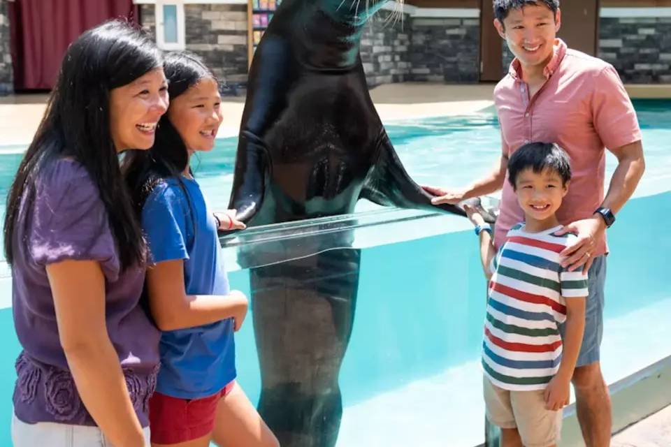 SeaWorld Orlando