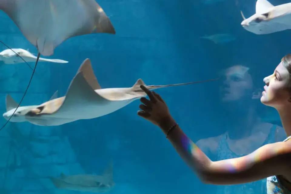 SeaWorld Orlando