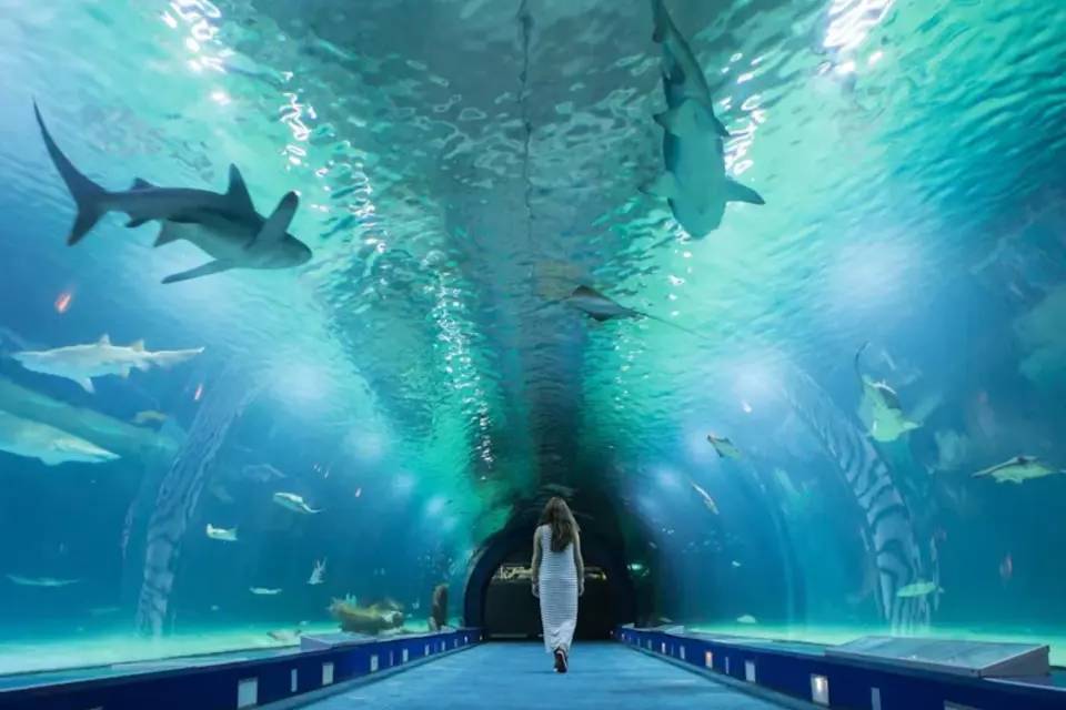 Oceanografic of Valencia