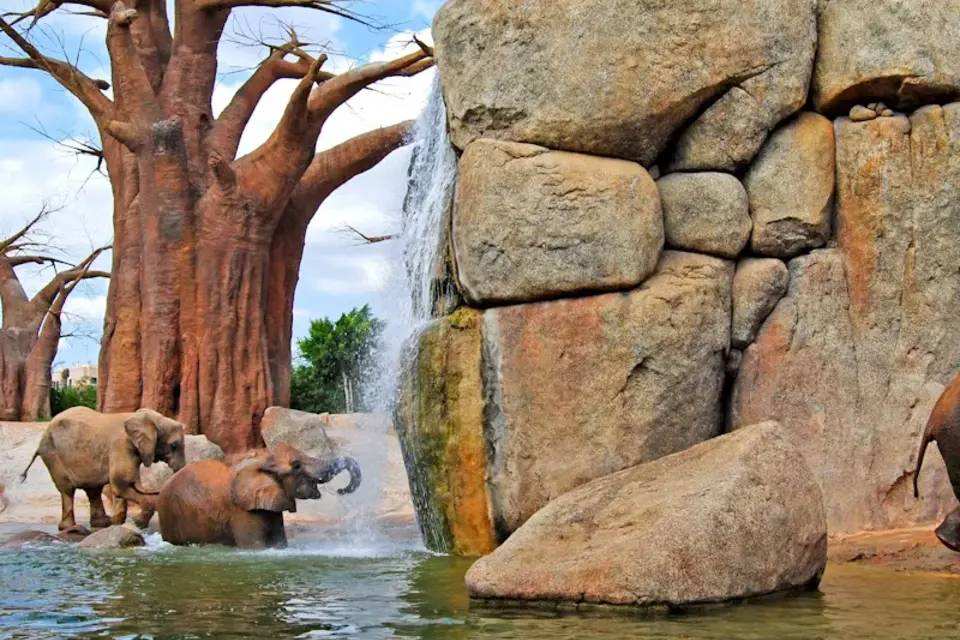 Bioparc Valencia Fast Track Ticket