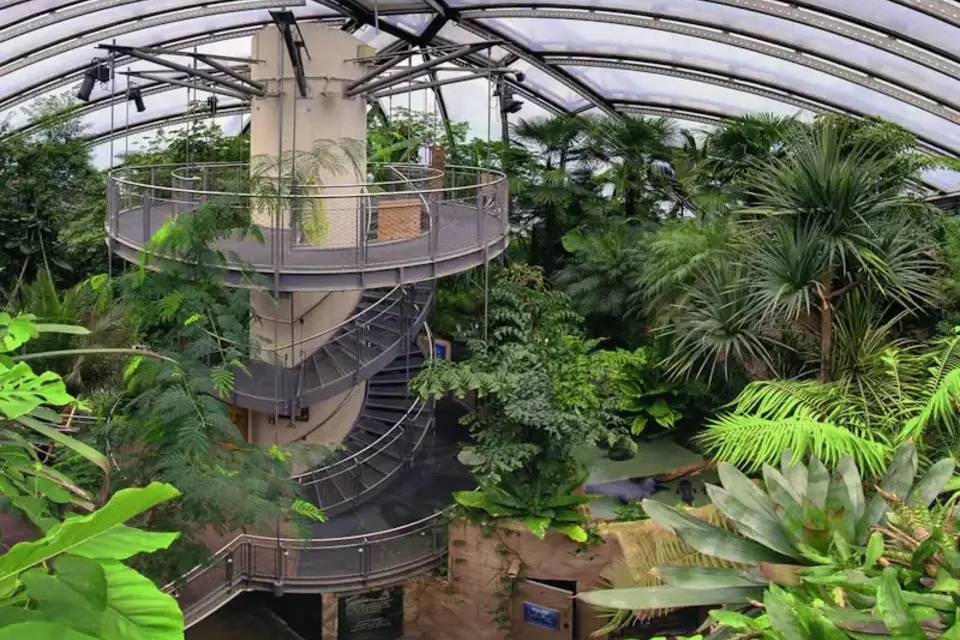 SEALIFE Hannover Entrance Tickets