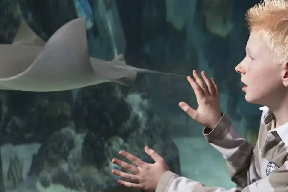 SEALIFE Hannover Entrance Tickets