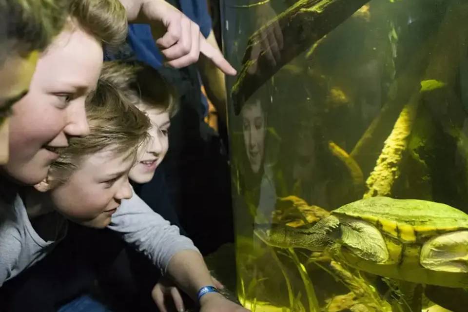 SEALIFE Munich Entrance Tickets