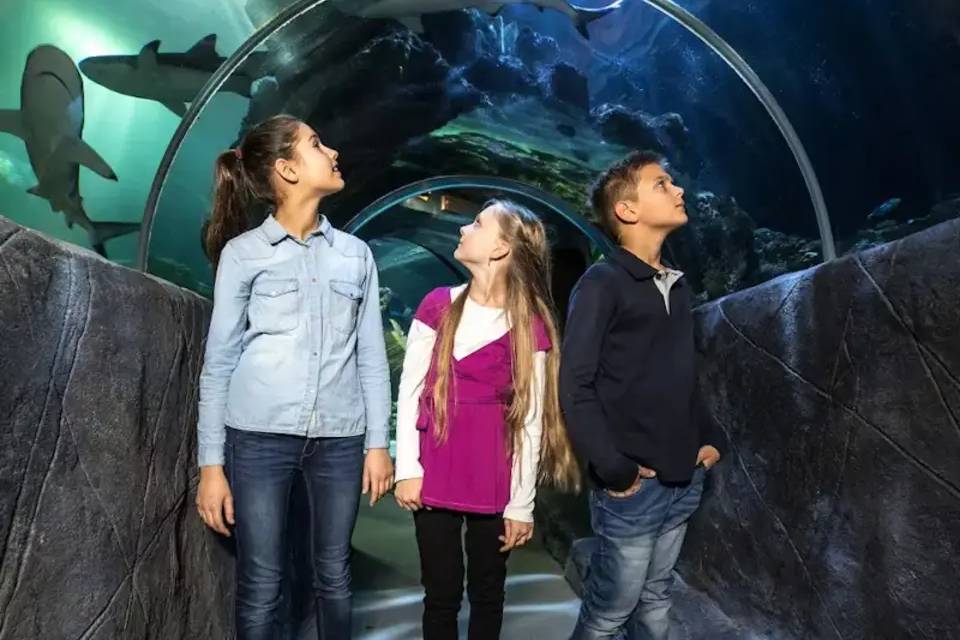 SEALIFE Munich Entrance Tickets