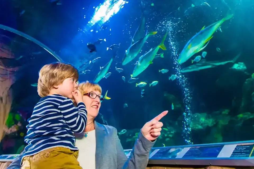 SEALIFE Munich Entrance Tickets