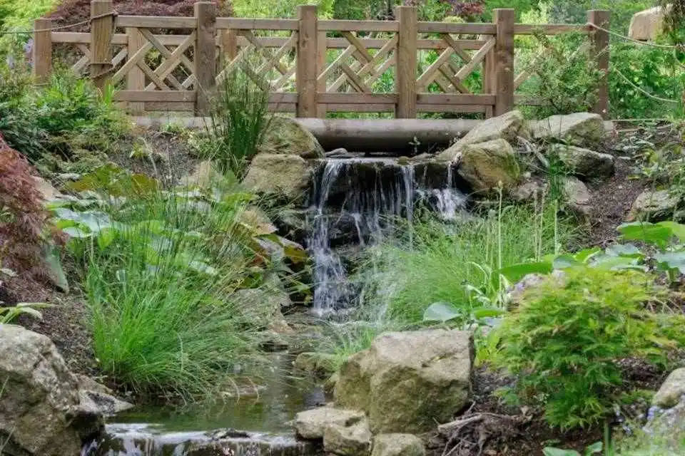 RHS Garden Bridgewater Entry Ticket