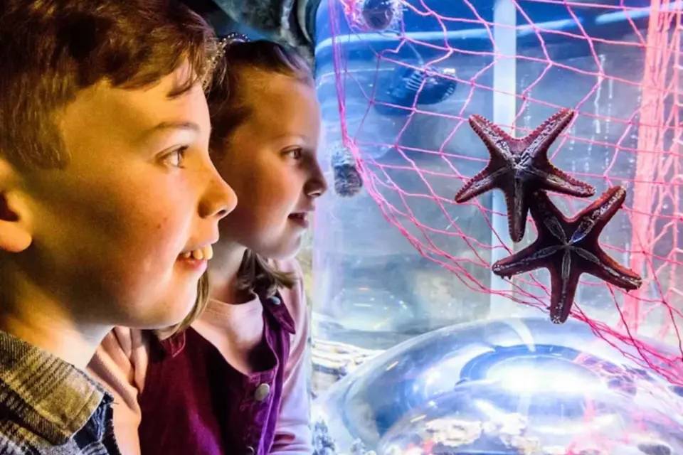 SEALIFE Brighton Entry Ticket