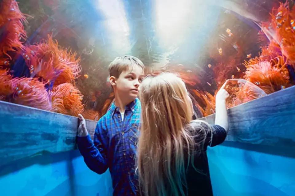 SEALIFE Brighton Entry Ticket
