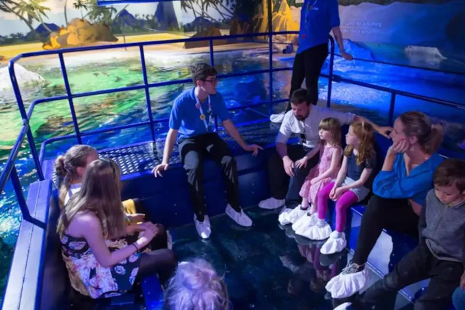 SEALIFE Brighton Entry Ticket