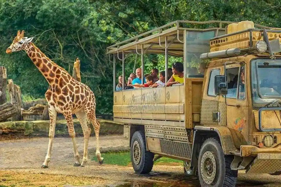 Chessington World of Adventures Entry Ticket