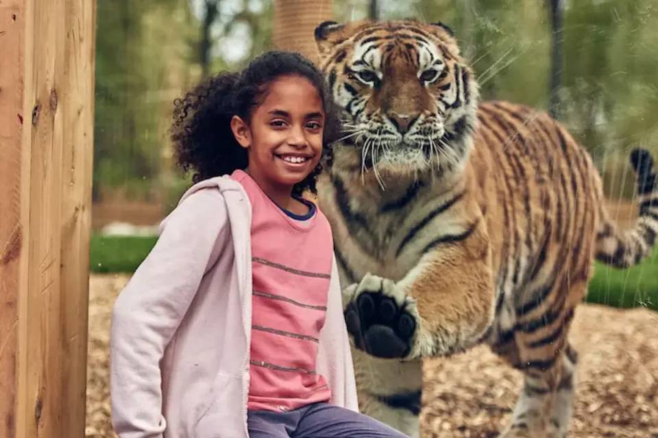 Chessington World of Adventures Entry Ticket