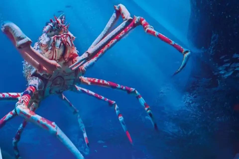 SEALIFE Manchester Entry Ticket