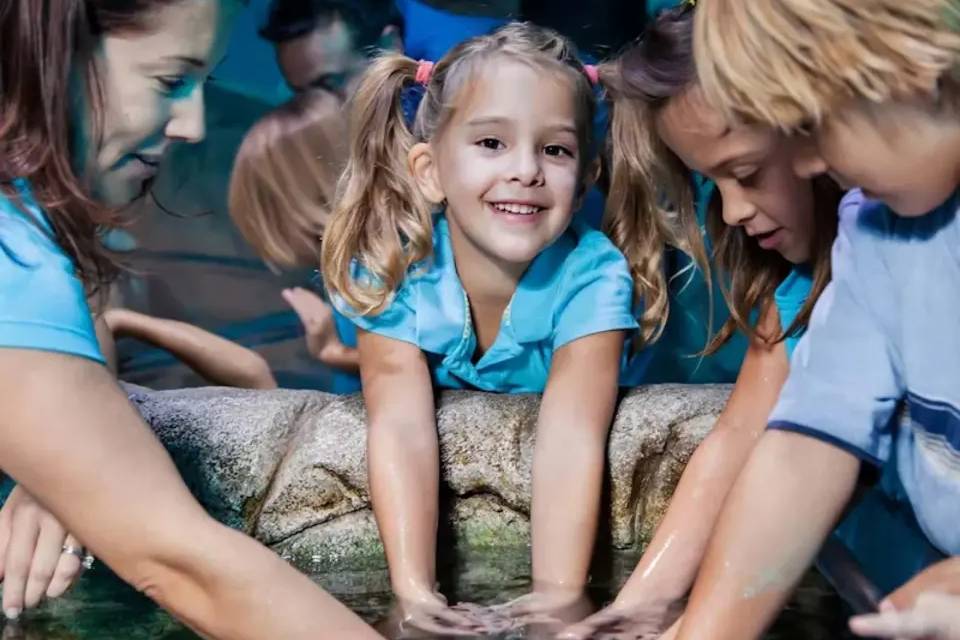 SEALIFE Manchester Entry Ticket