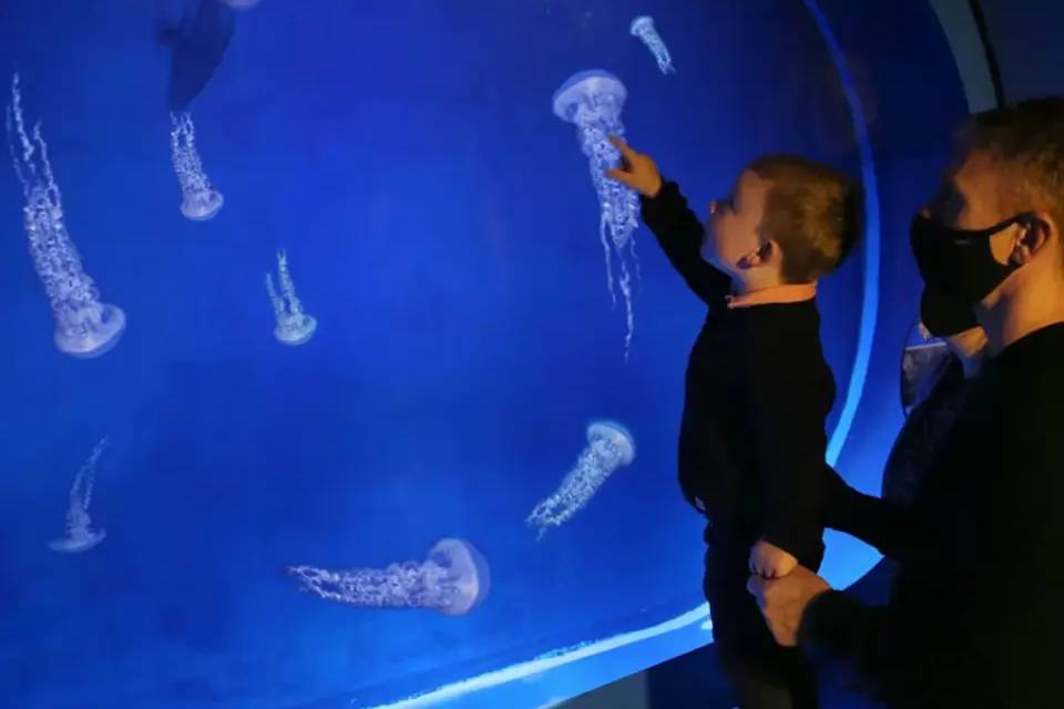 SEALIFE Manchester Entry Ticket