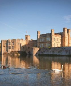 Day Trip to the Leeds Castle, Canterbury, Dover & Greenwich