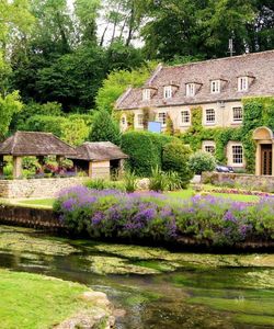 Lunch in the Cotswolds - Prettiest Village in Britain