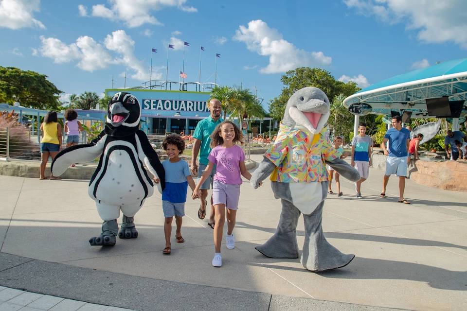 GoCity Miami Explorer Pass