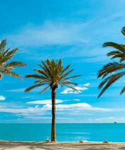 City Sightseeing: Malaga Boat Tour