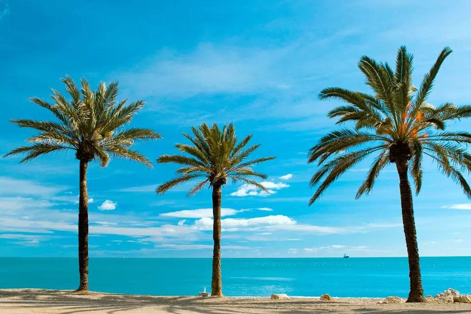 City Sightseeing: Malaga Boat Tour