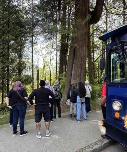 The Great Canadian Trolley: Vancouver City Trolley Tour