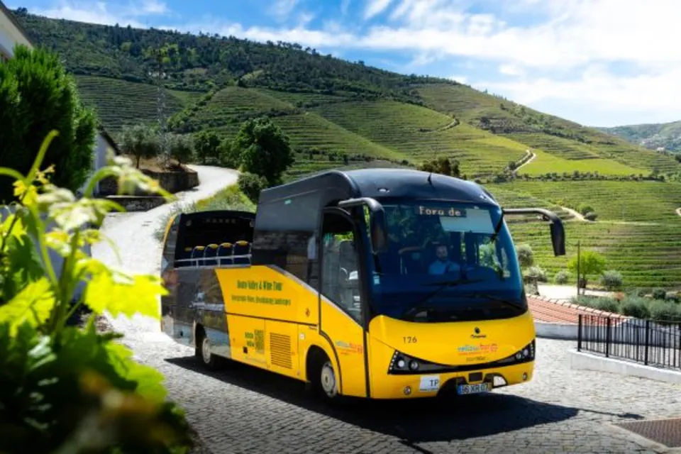 Day Trip to Douro Valley with Wine Tasting and River Cruise