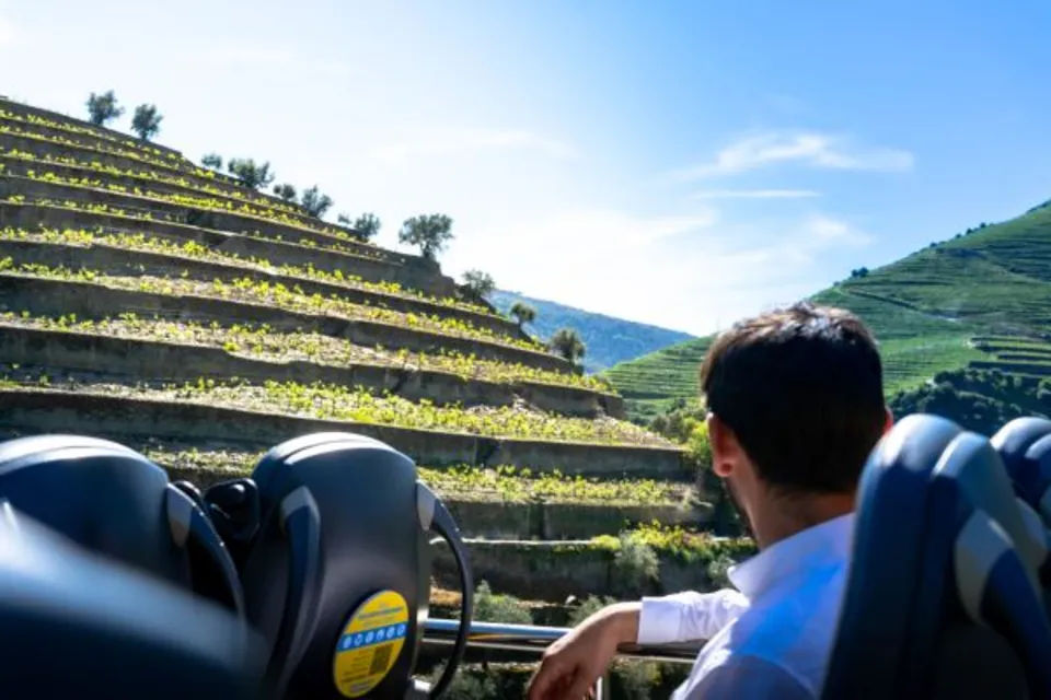 Douro Wine Region Tour