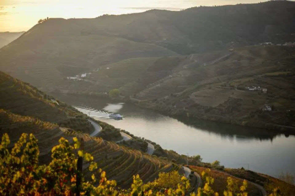 Douro Wine Region Tour