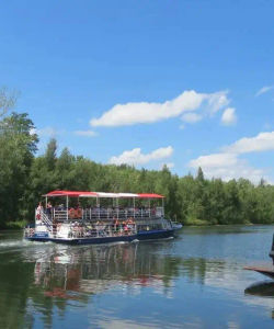 City Sightseeing: Toronto Harbour and Islands Cruise Only