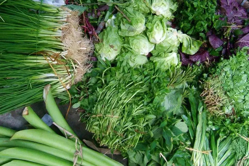 Northern Cuisine - Hanoi Cooking Class