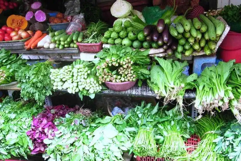 Hue Eco Cooking Class Tour