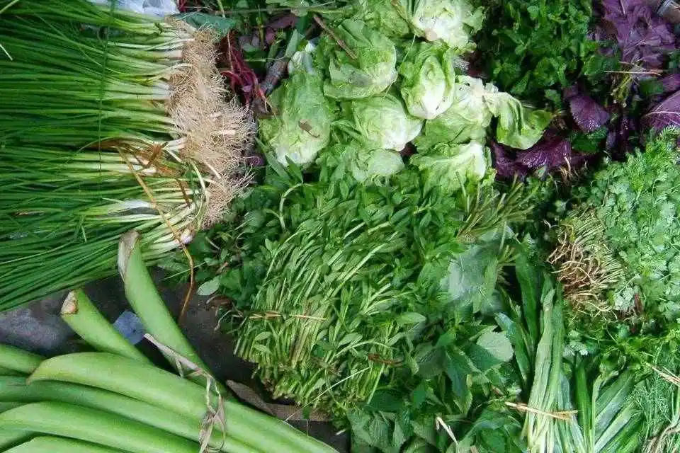 Hue Eco Cooking Class Tour
