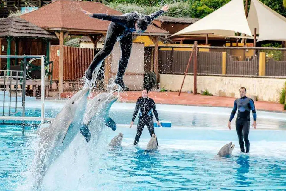 Things to do in Benalmadena Tours Things to do in Benalmadena Tours
