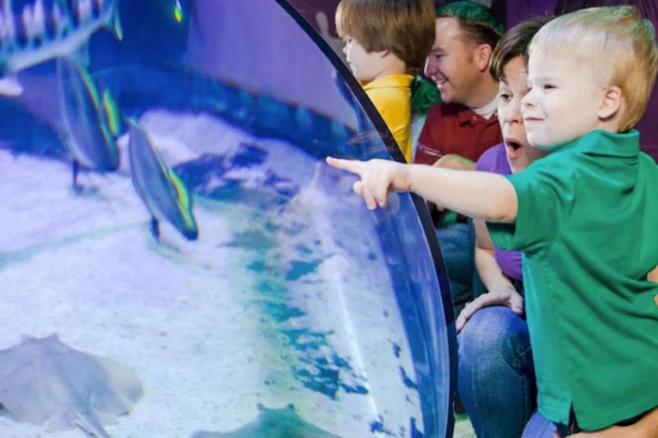 Places of Dallas Tours