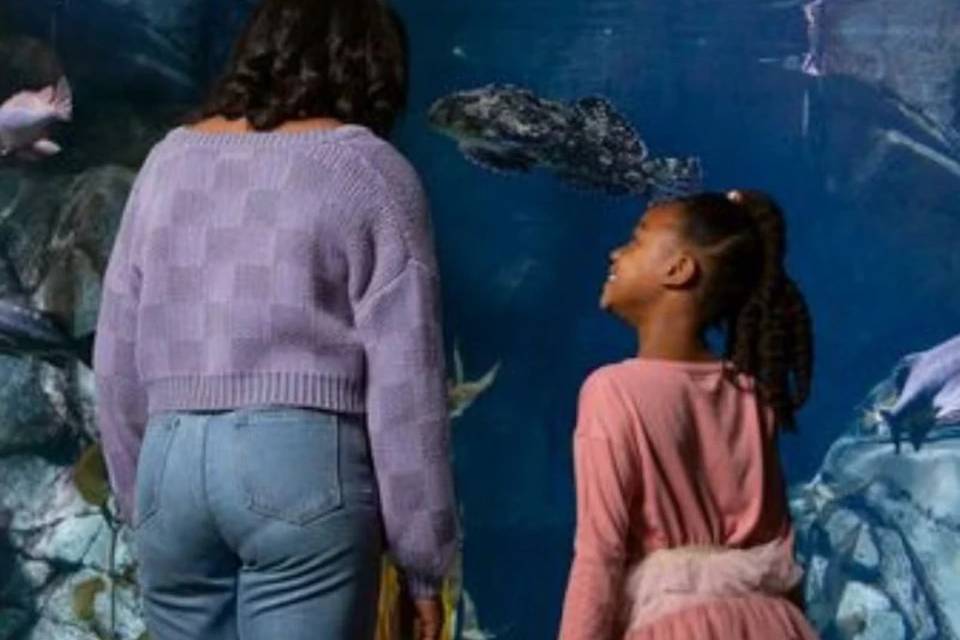Aquarium of the Pacific: Skip the Line Ticket