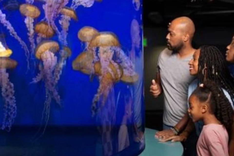 Aquarium of the Pacific: Skip The Line Ticket