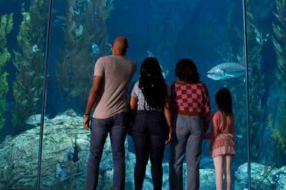 Aquarium of the Pacific: Skip The Line Ticket